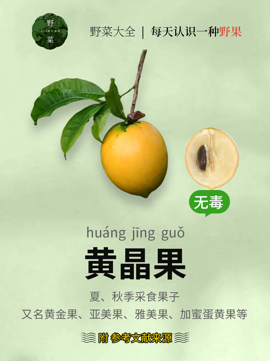 黄晶果6号和黄宝石哪个好一点(黄晶果6号和黄宝石哪个好一点呢)