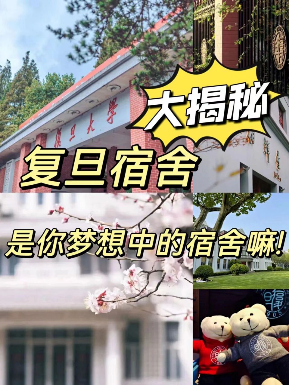 复旦大学宿舍揭秘97不要太羡慕哦75 备考复旦的宝子们,考研除了