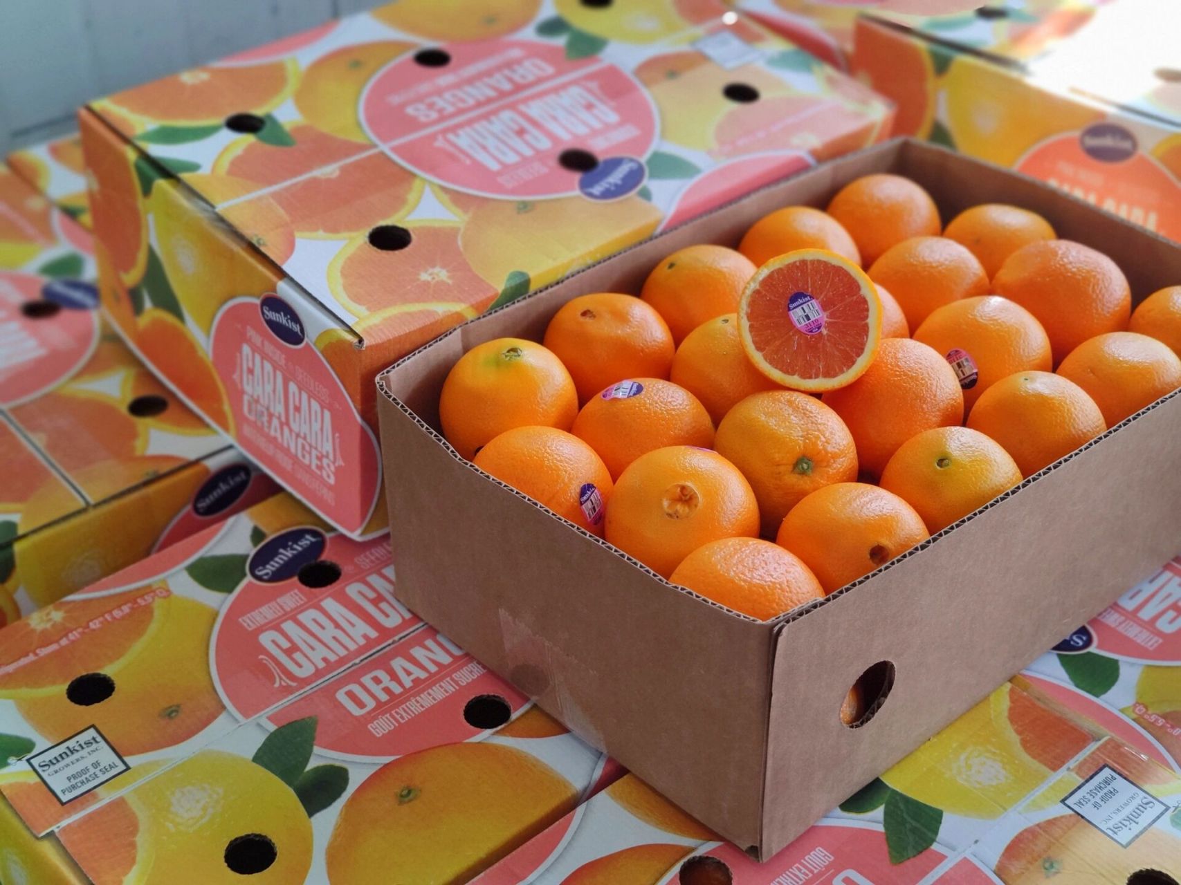 09新奇士3110血橙新产季开启!