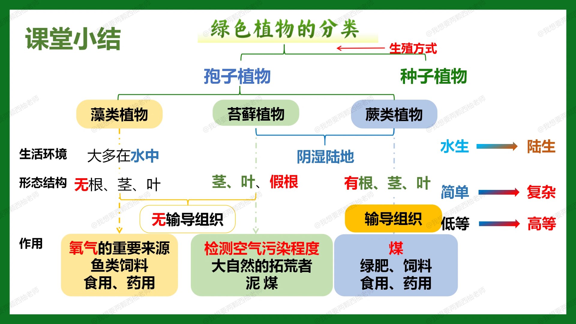 七年级上册生物植物(七年级上册生物植物结构图) 第2张 七年级上册生物植物(七年级上册生物植物结构图) 第2张