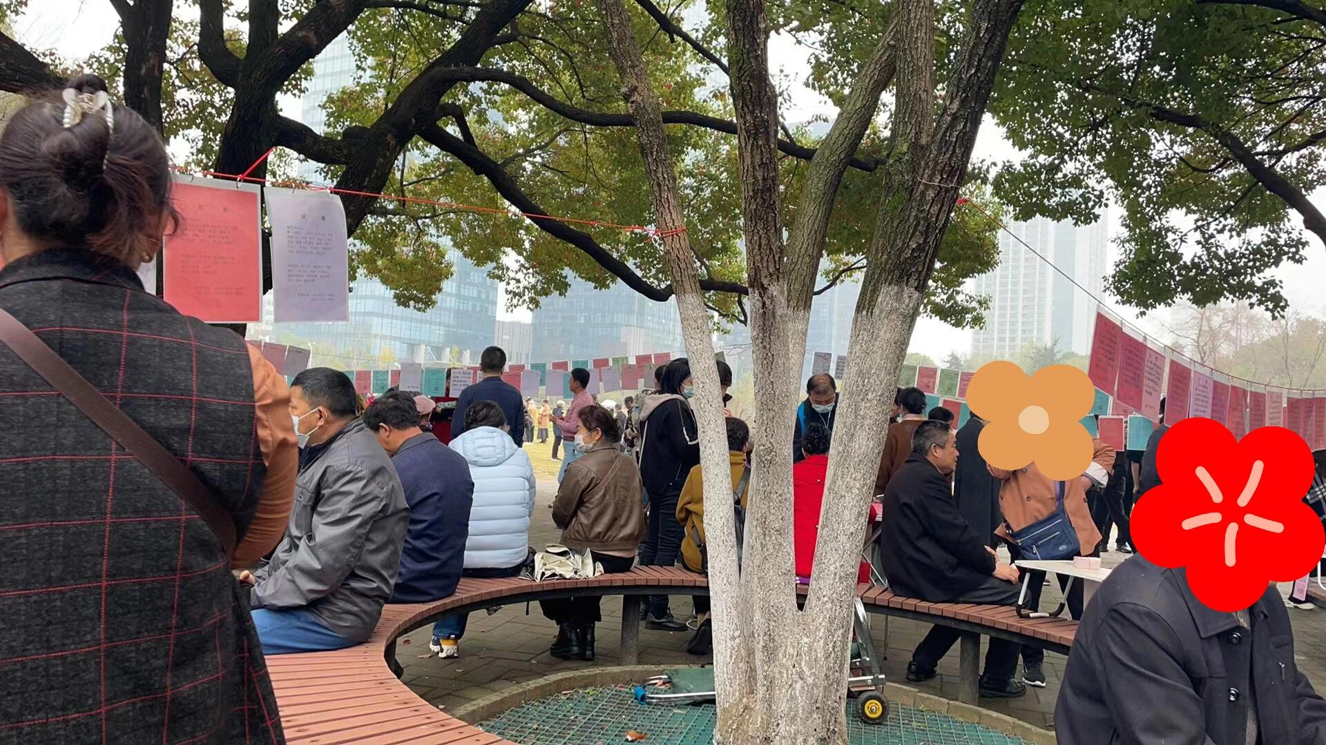 杏花公园相亲角一日游 早就听同事说合肥有个杏花公园相亲角,"热闹