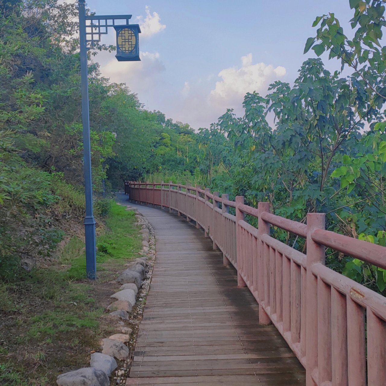 跑进花海,打卡姜山狮山公园!