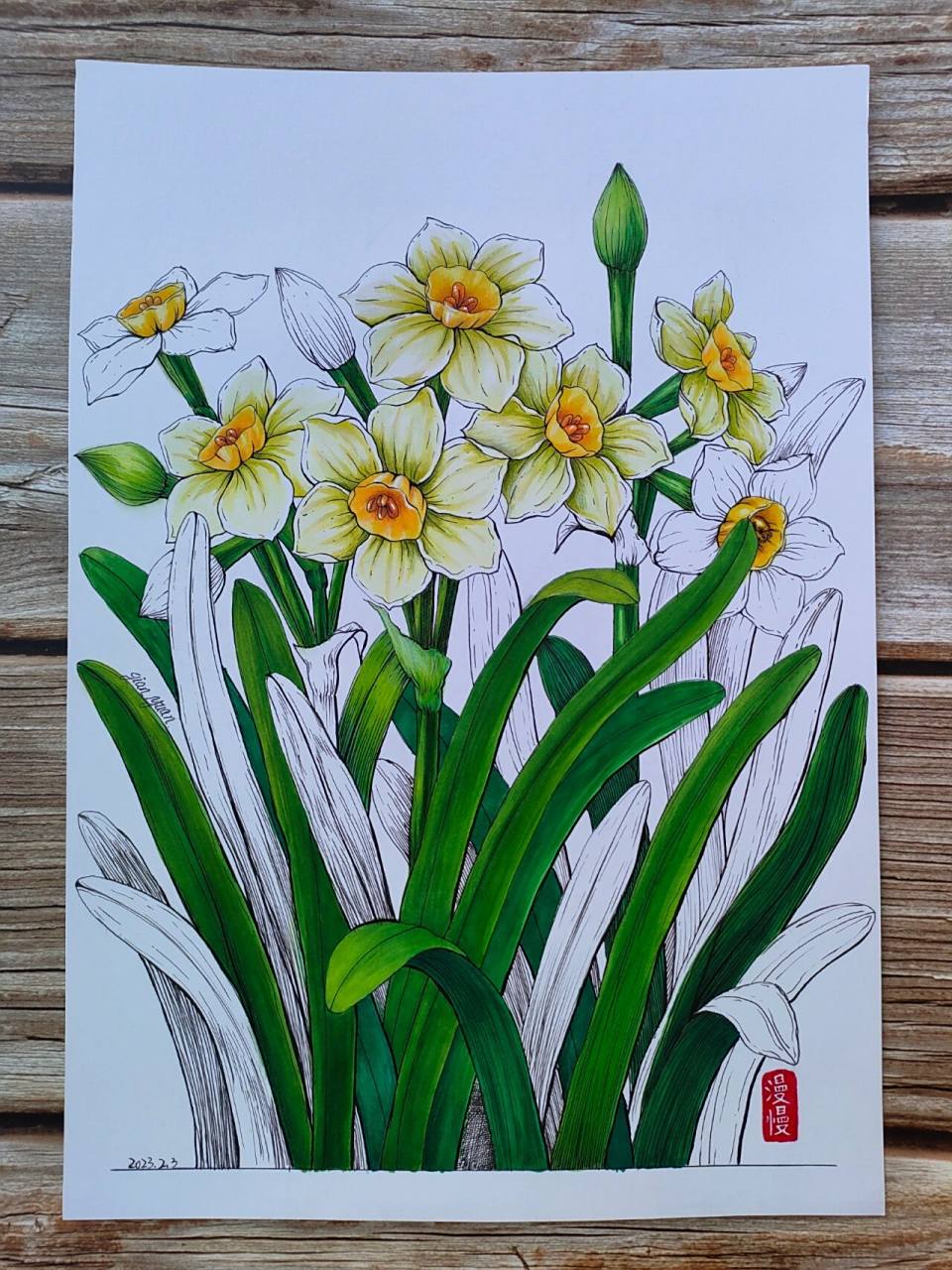 水仙花绘画马克笔线描插画装饰画手绘原创 迟到的年宵花,颜色画深了些