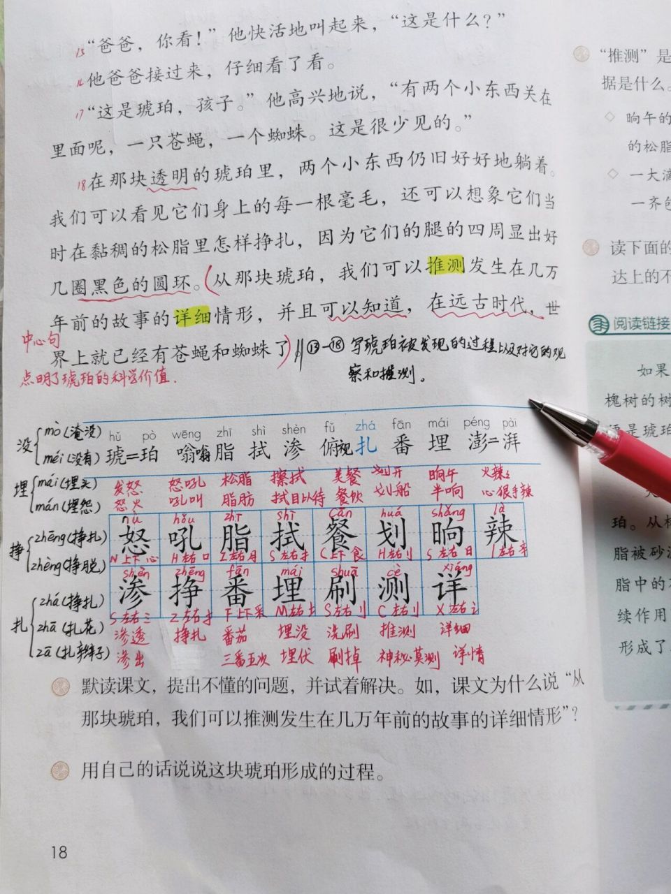 课堂笔记|四下《琥珀》 课堂笔记|部编版人教版统编版四年级语文下册