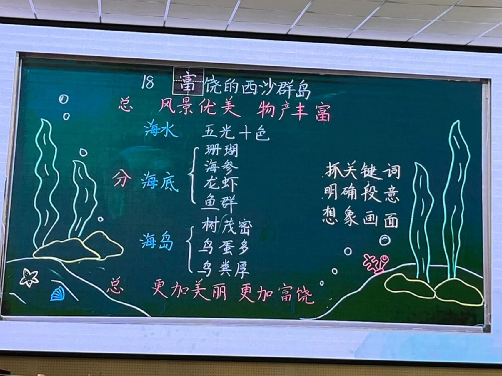 语文板书分享——《富饶的西沙群岛》《海滨 很大气的板书