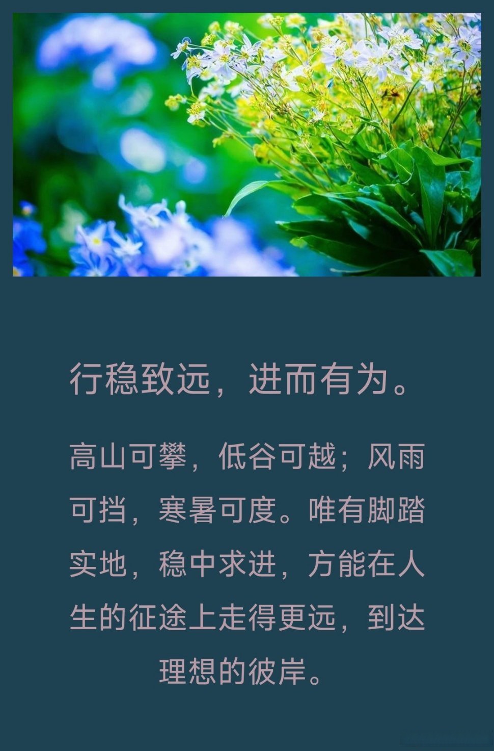 行稳致远,进而有为. 高山可攀,低谷可越;风雨可挡,寒暑可度