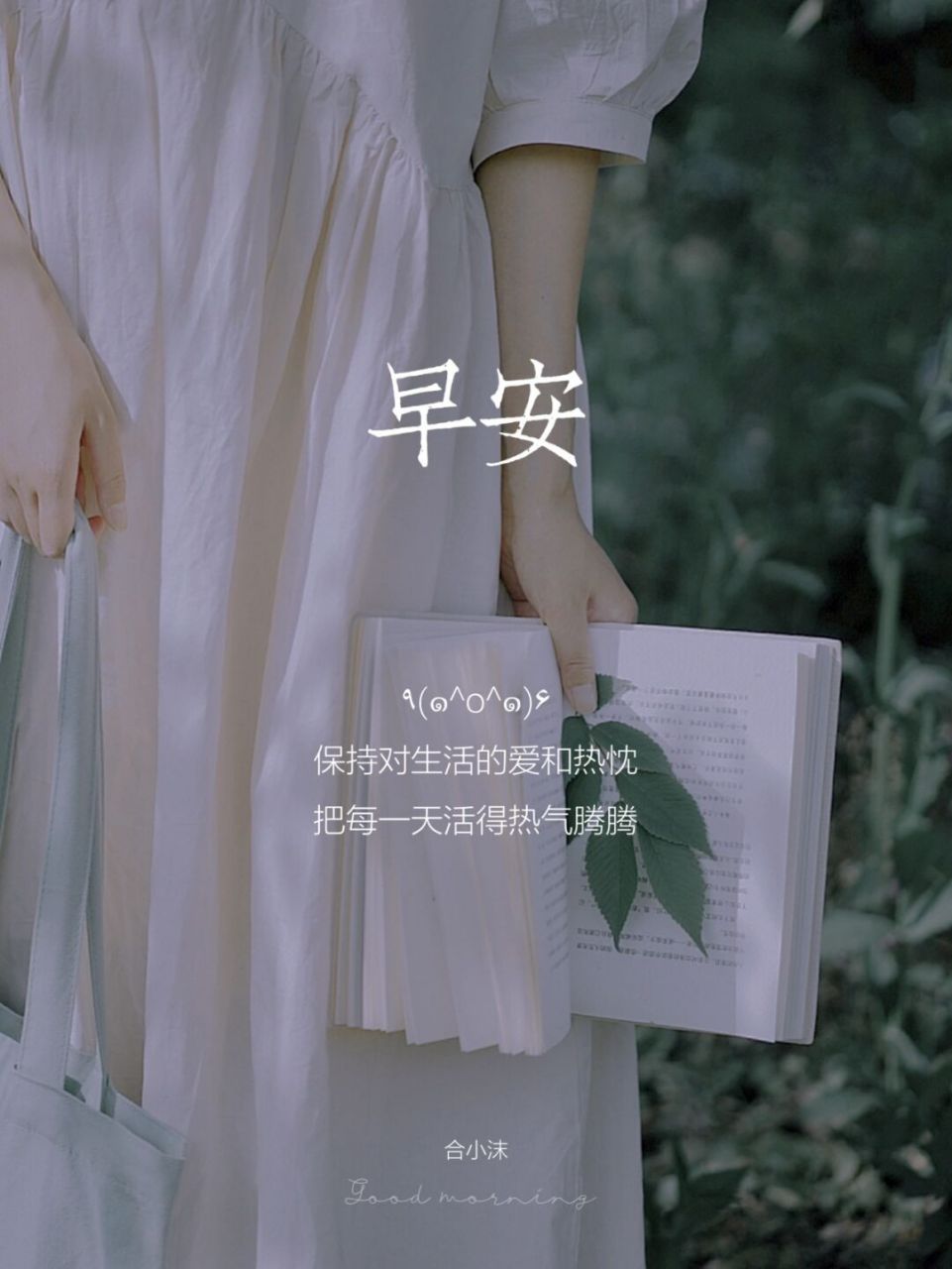 朋友圈早安日签|正能量文案海报|高级感日签 91 生活就是91 既能