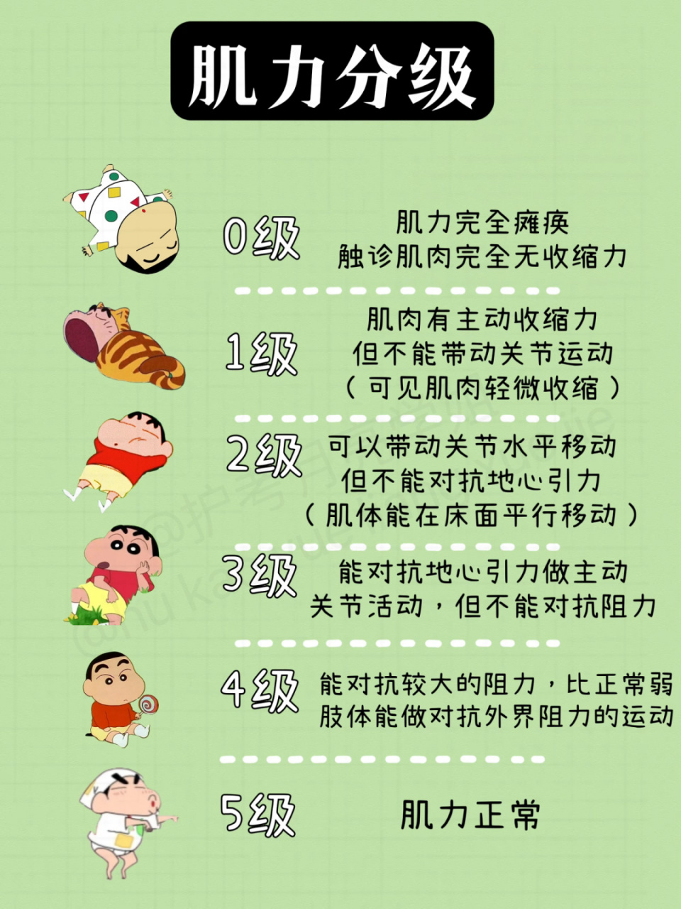 护考知识点肌力分级总结 7815 月亮不睡我不睡 在考试中也常常