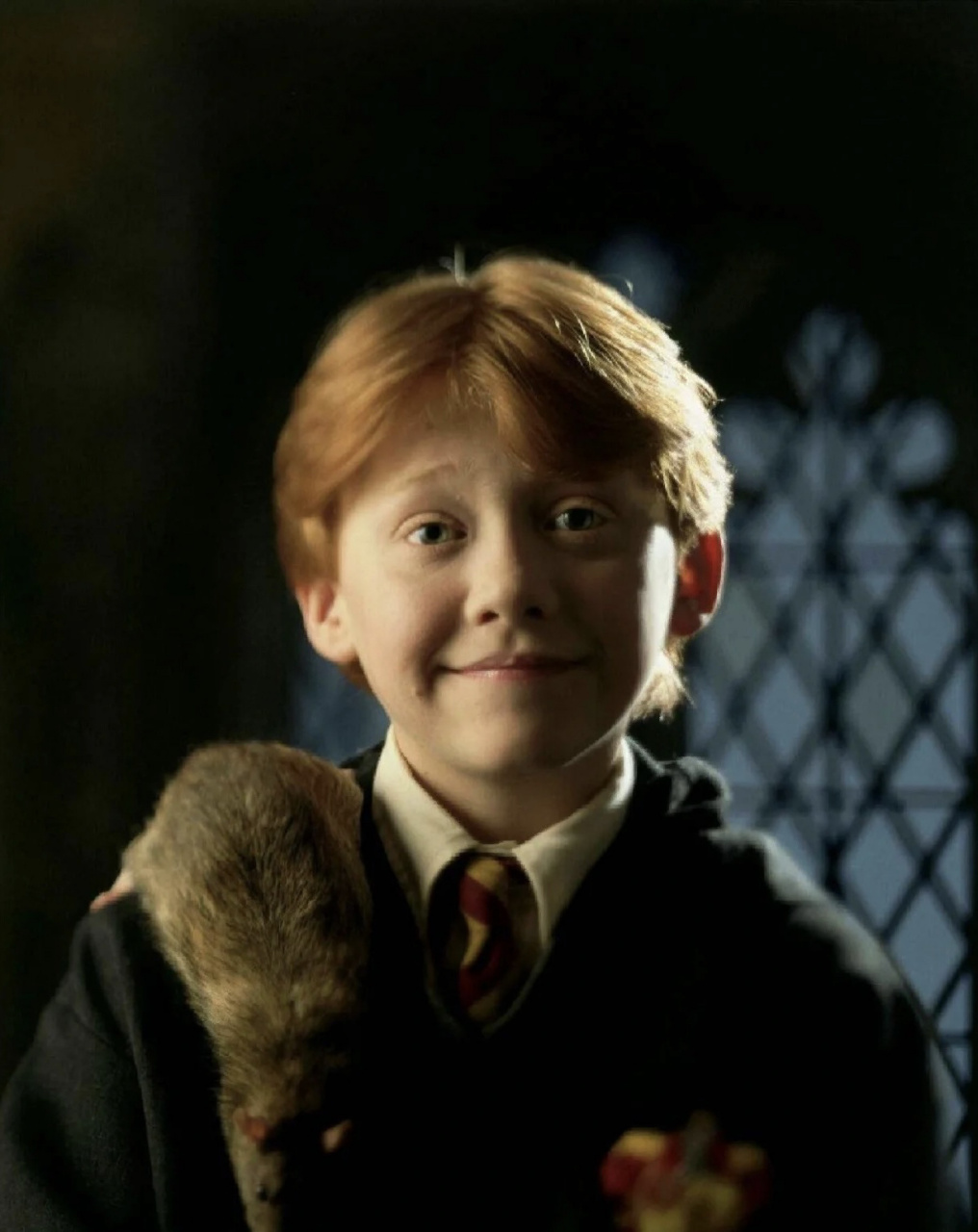 罗恩·韦斯莱人物简介(全网最详细) 罗恩61韦斯莱 ron weasley 全名