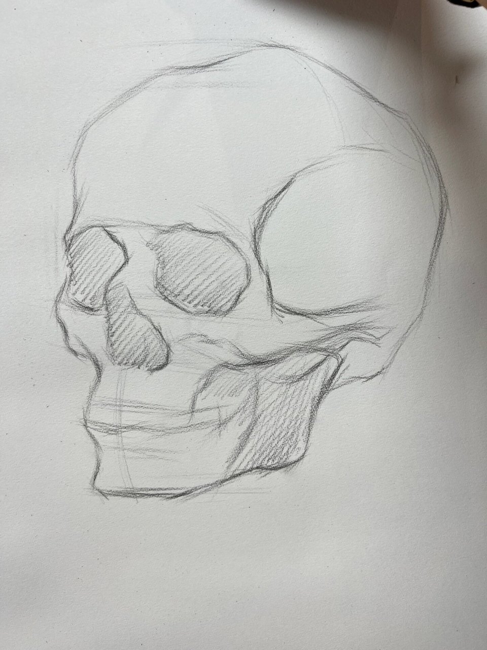 素描 骷髅头骨 附步骤 好久没好好的画幅素描了 美术生必学