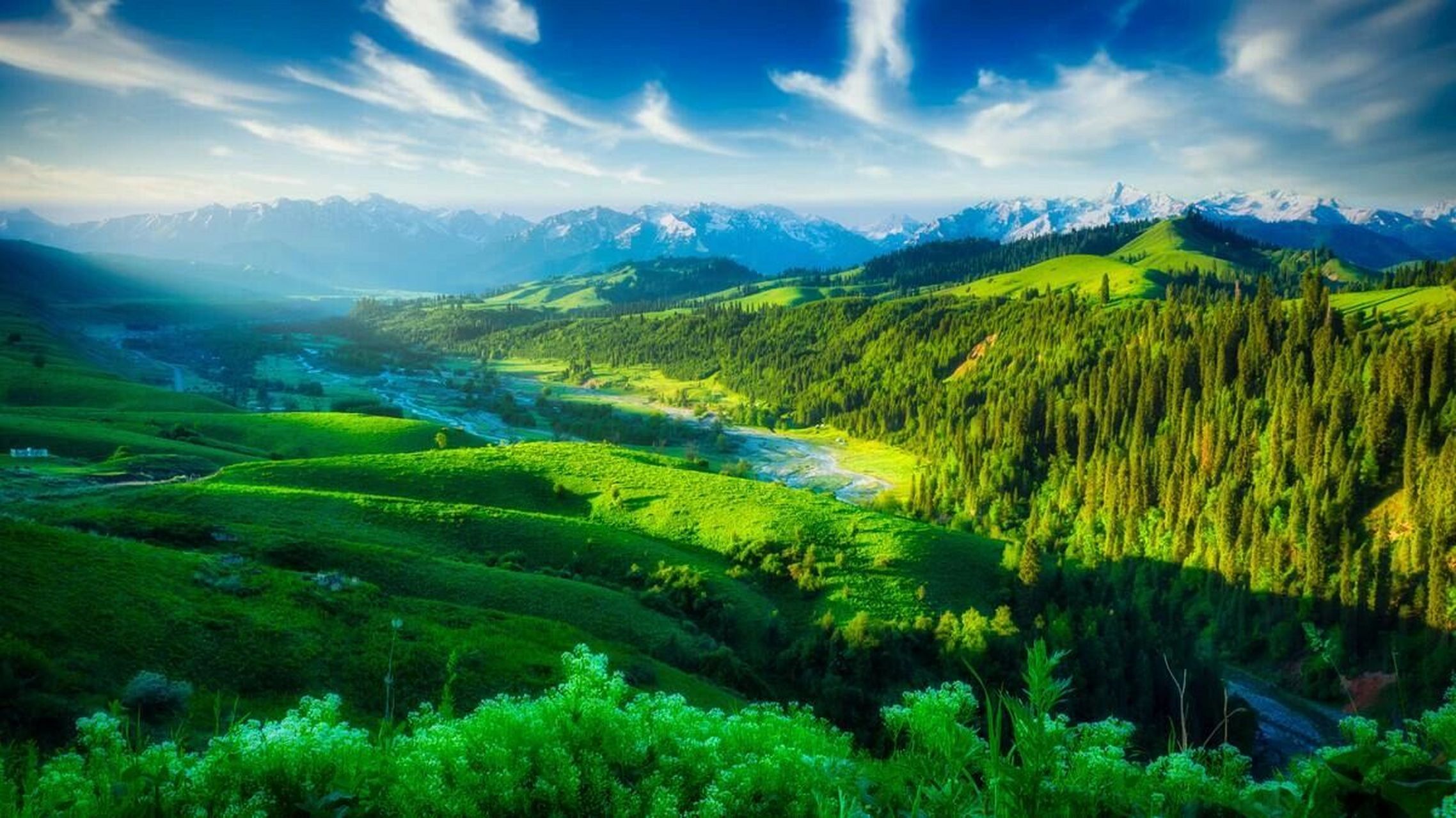 新疆‖最美草原季,一定要来库尔德宁打卡     9999新疆有座旅拍