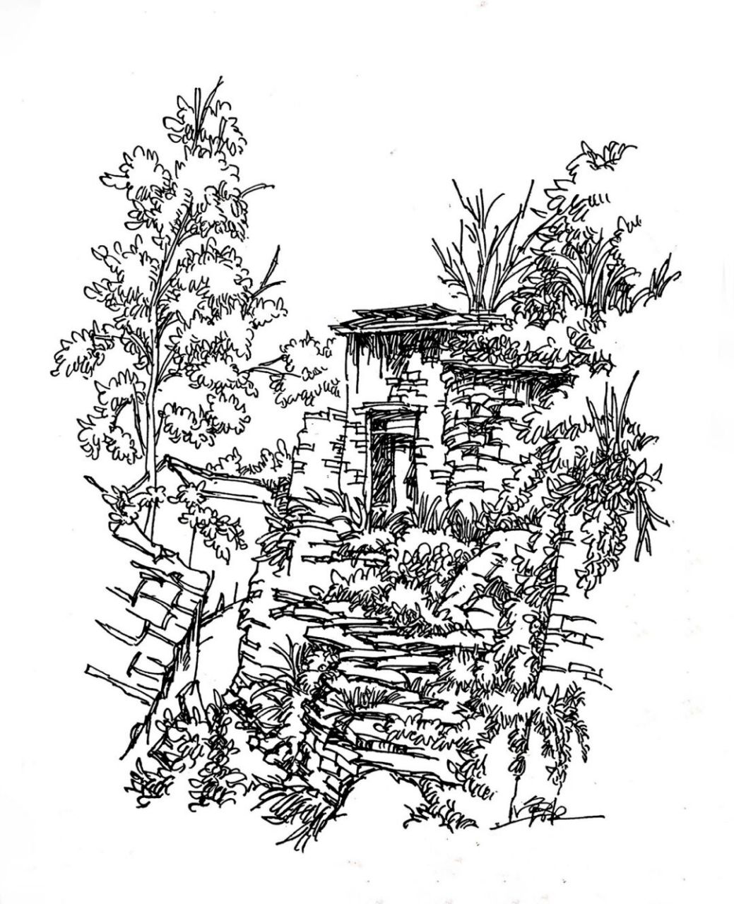 钢笔速写 | 纪录农村生活一角 #风景速写