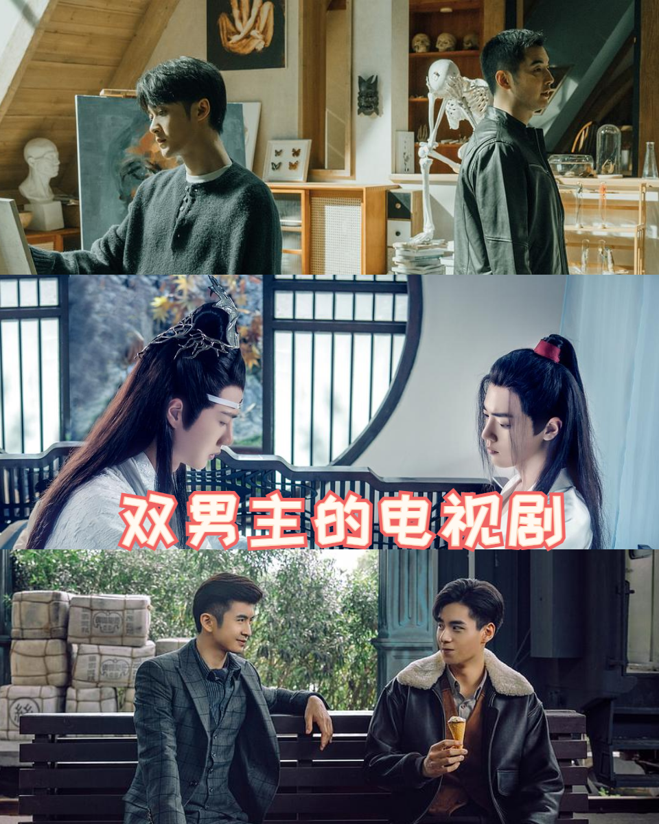 双男主的电视剧
