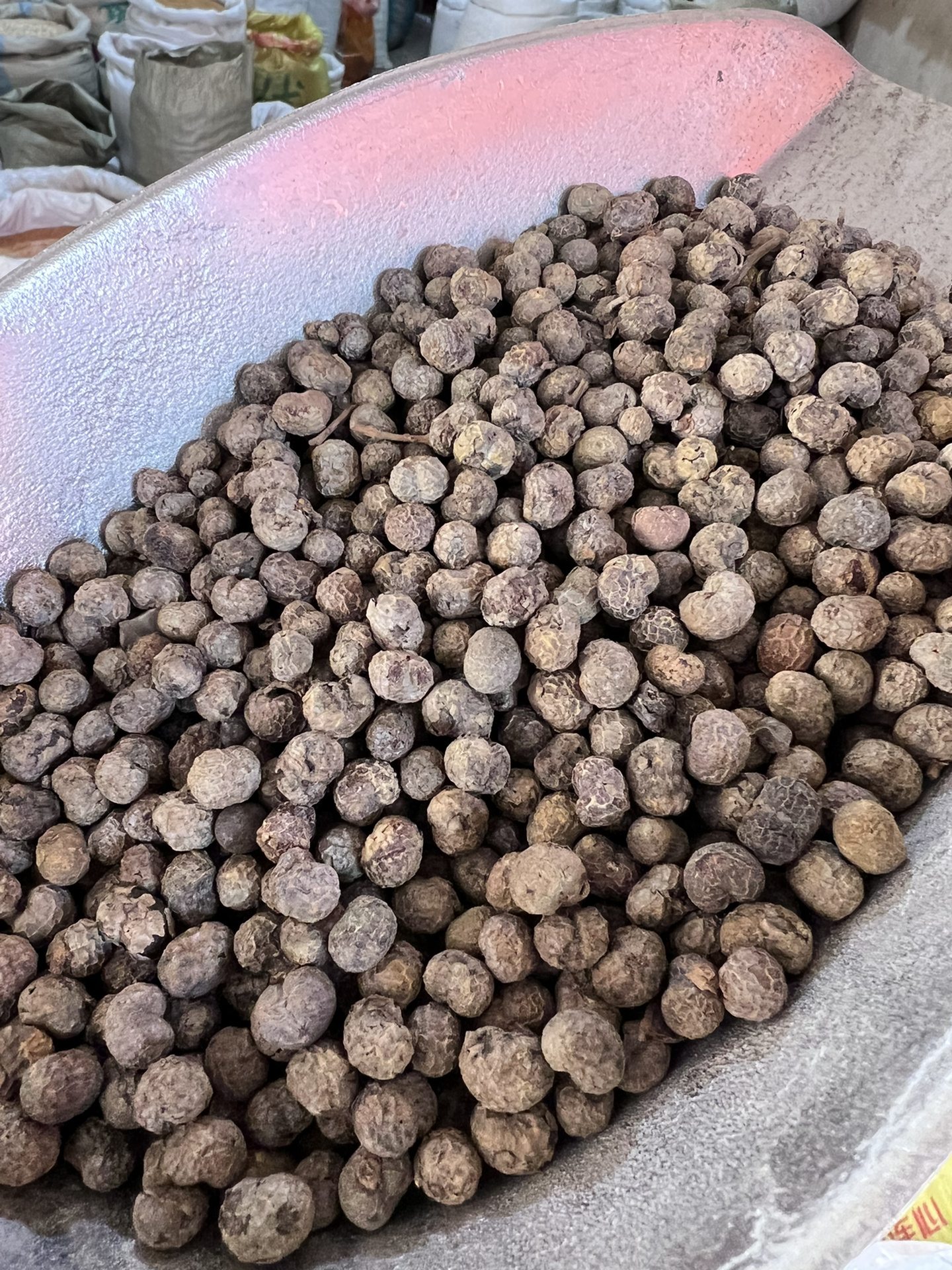 每日中药材籽药介绍——棕榈子 功效与作用 止血,涩肠,固精 棕榈子