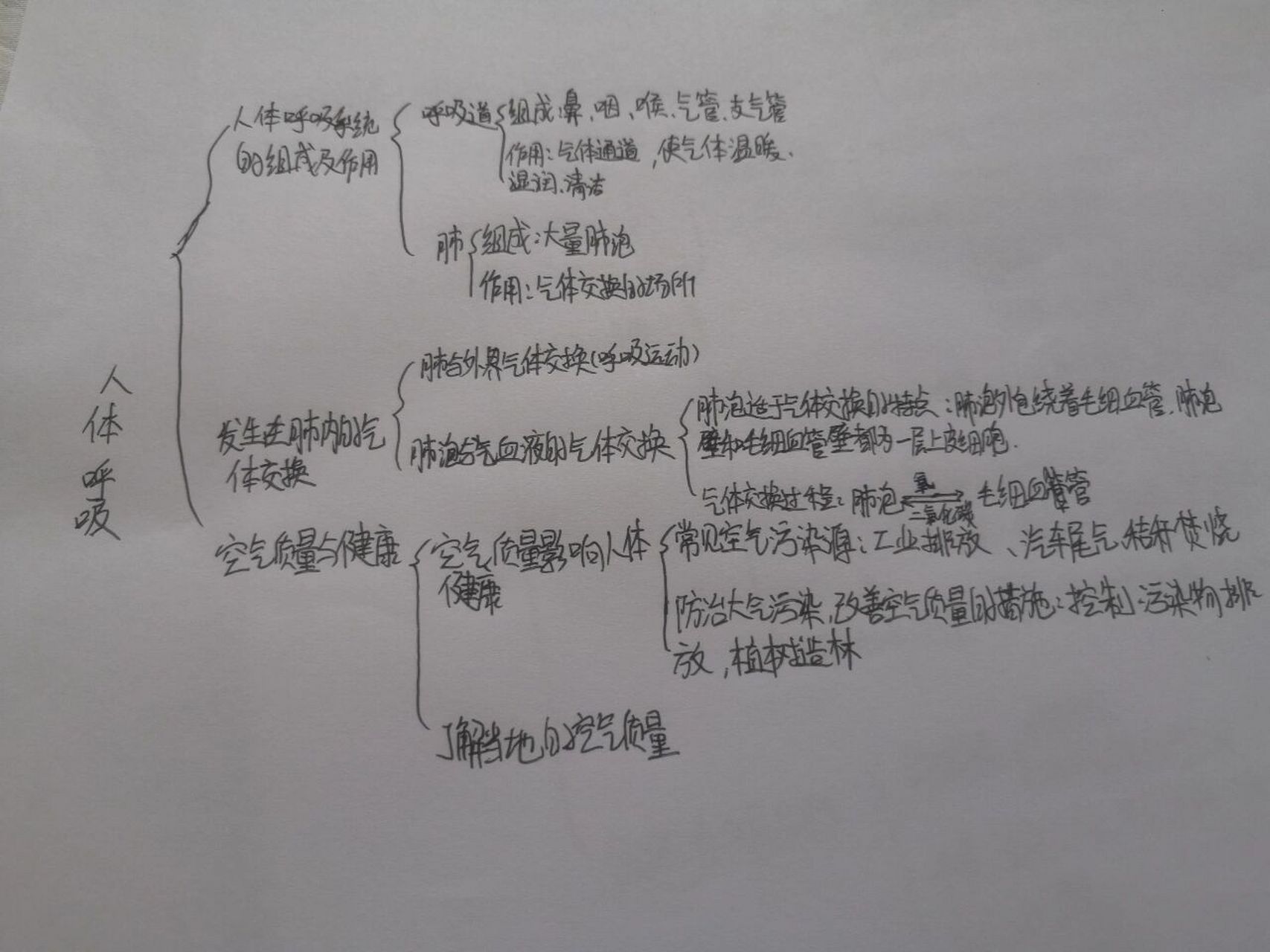 《人体呼吸》思维导图 《人体呼吸》思维导图