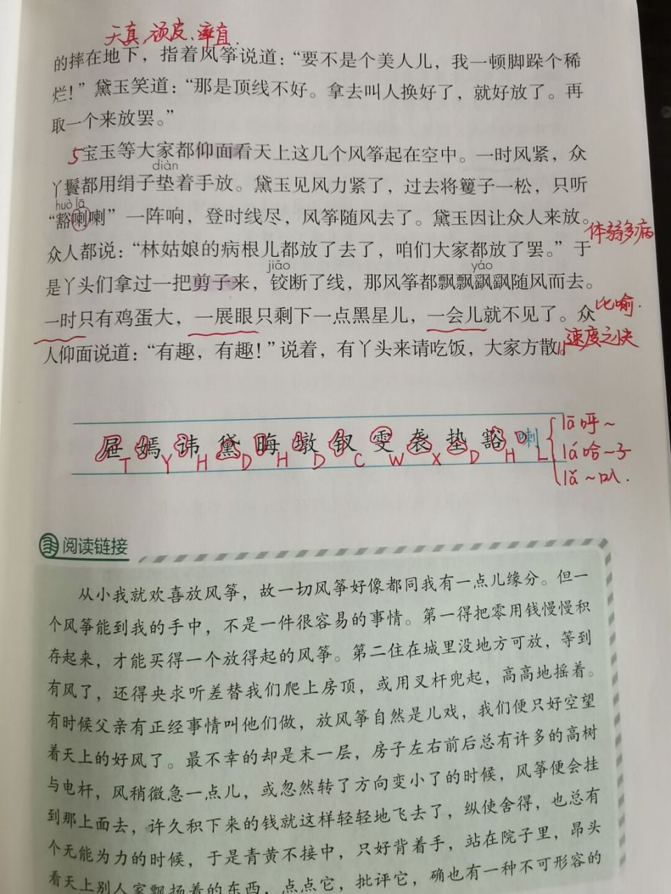 教案# #小学语文课堂笔记# #五年级# #红楼春趣