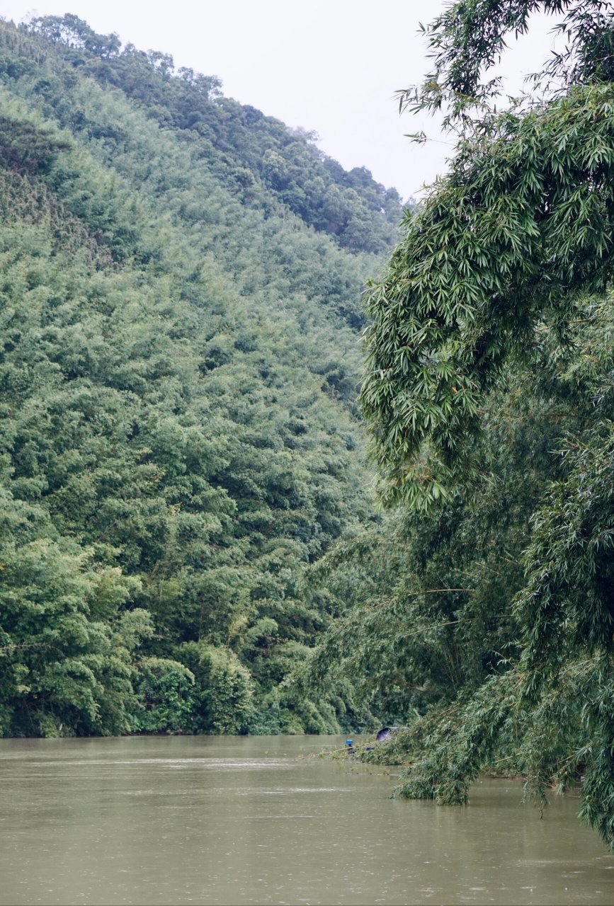 广宁一日游 开车自驾去了一个小众地,就是广宁,看有推荐说竹海大观,就