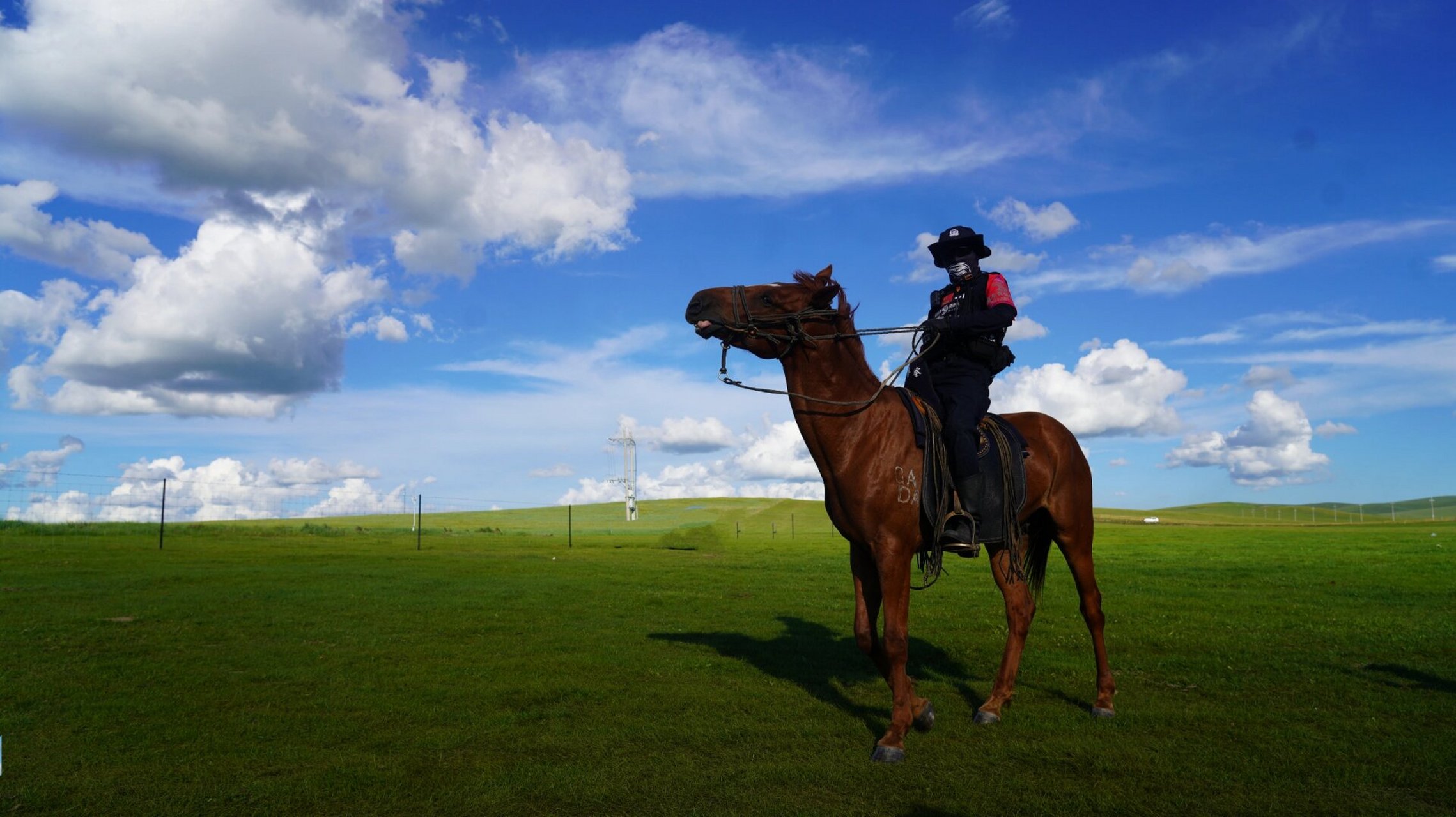 草原上的网红骑警 在呼伦贝尔草原,偶遇近日登上抖音热榜的网红