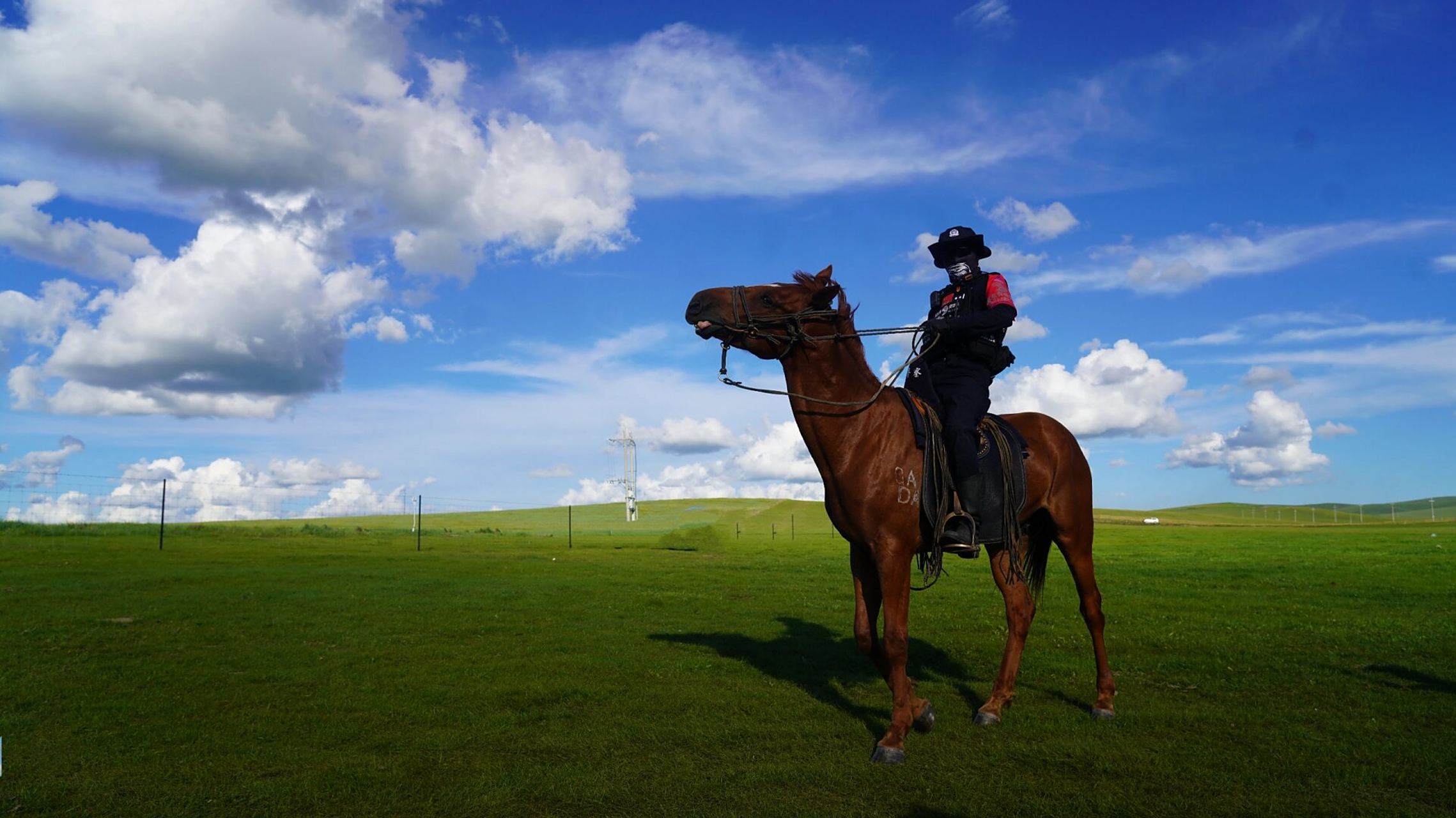 草原上的"网红"骑警 在呼伦贝尔草原,偶遇近日登上抖音热榜的"网红"