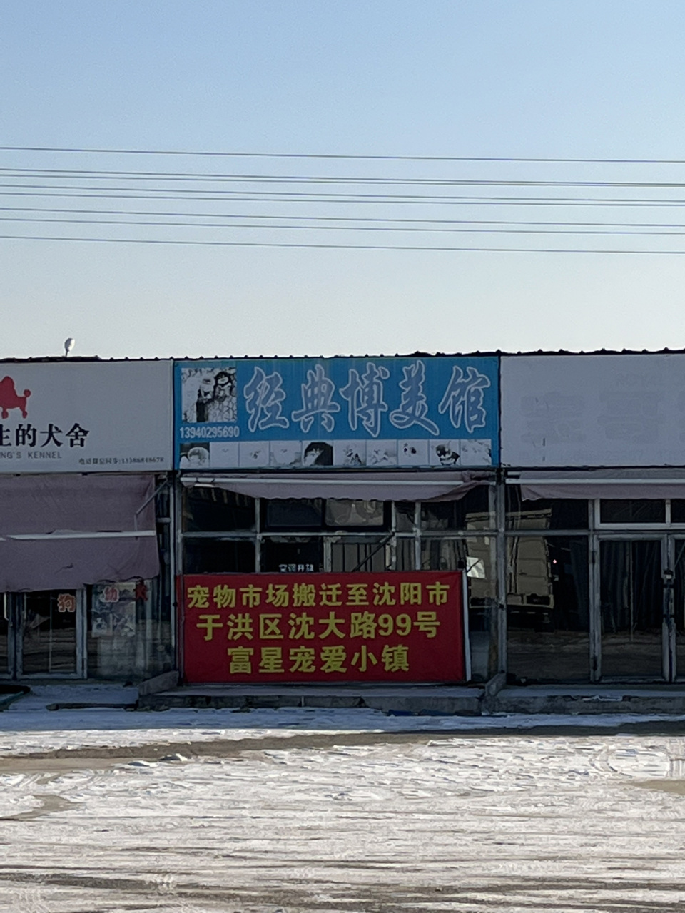 塔湾宠物市场搬家啦!大家不要跑空!