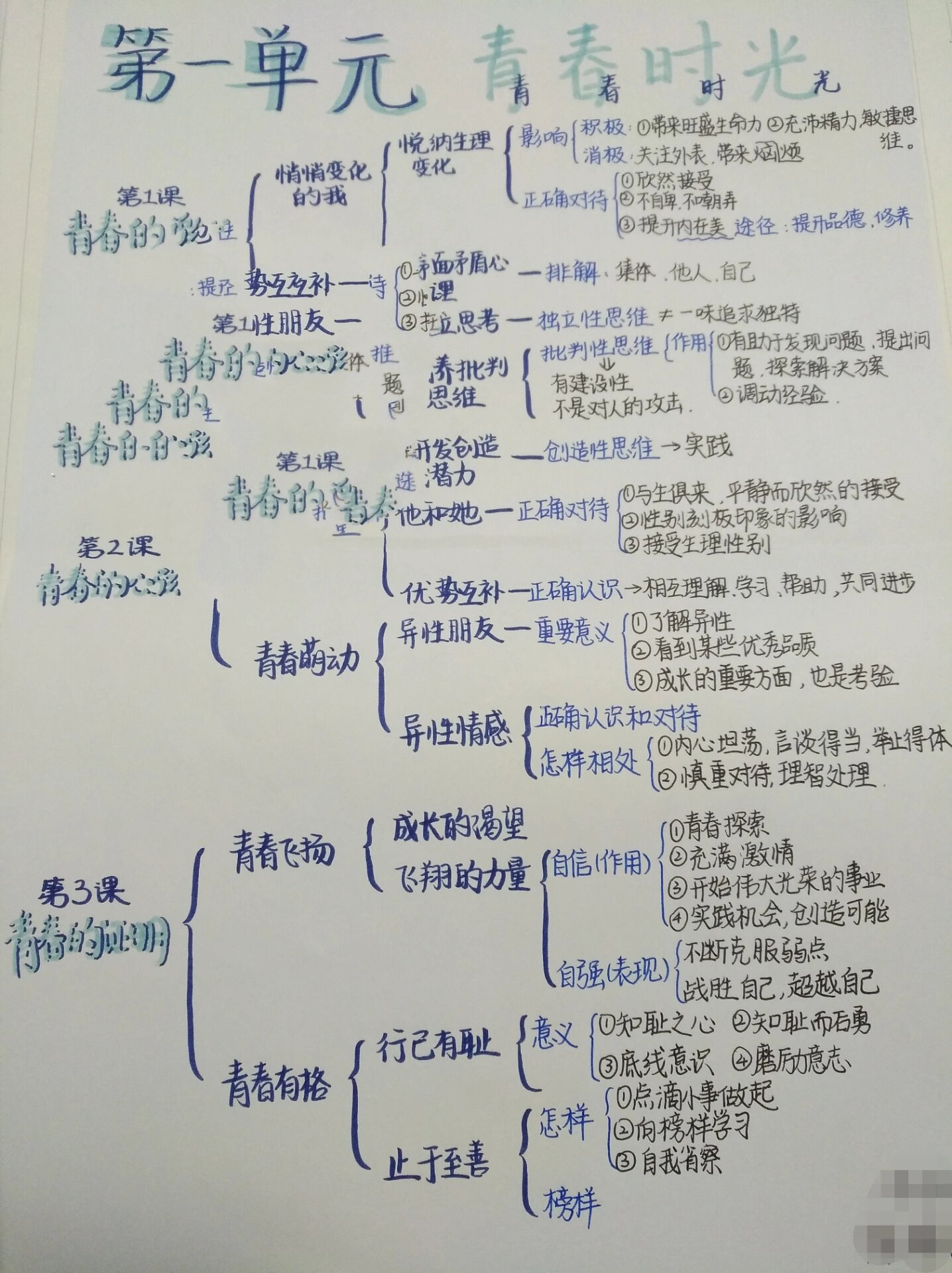 初一政治思维导图集体图片