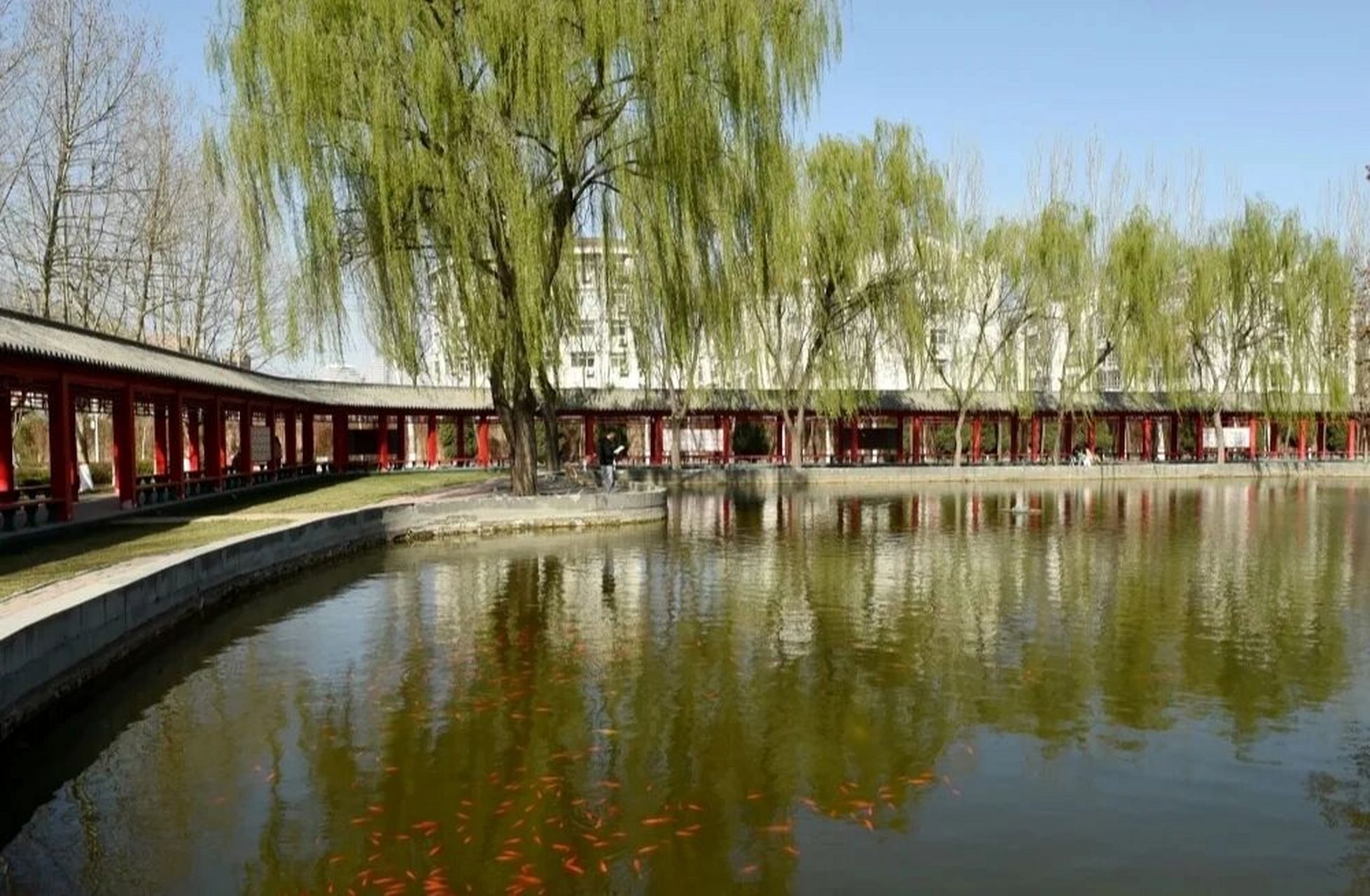 保定学院 最美母校,时间真快,离开一年了,毕了业才知道大学生活多么