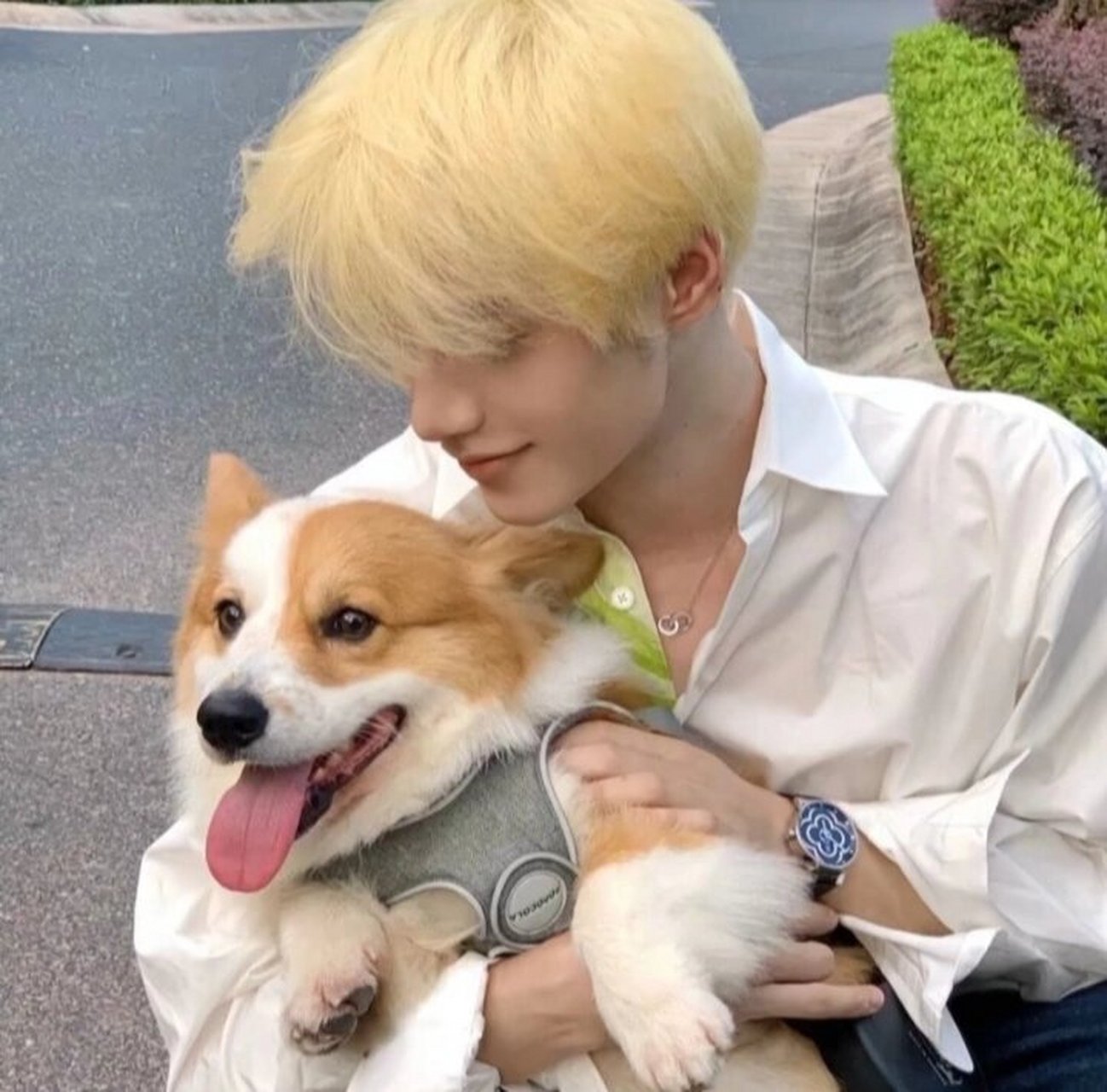 白色系高冷男生头像