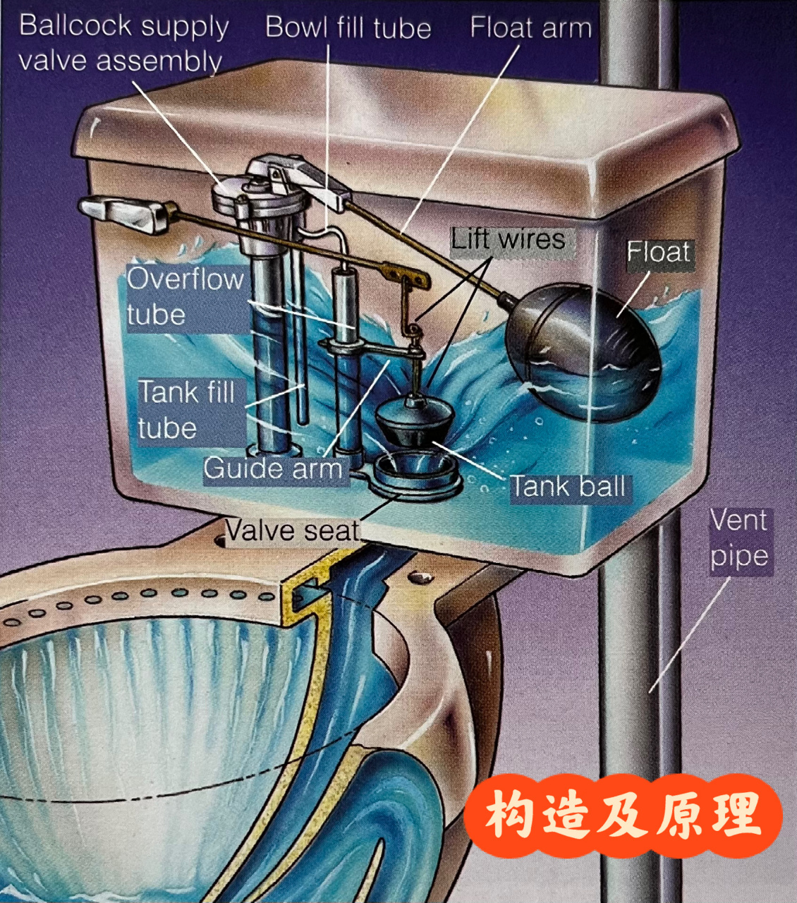 手按式冲水阀结构原理图片