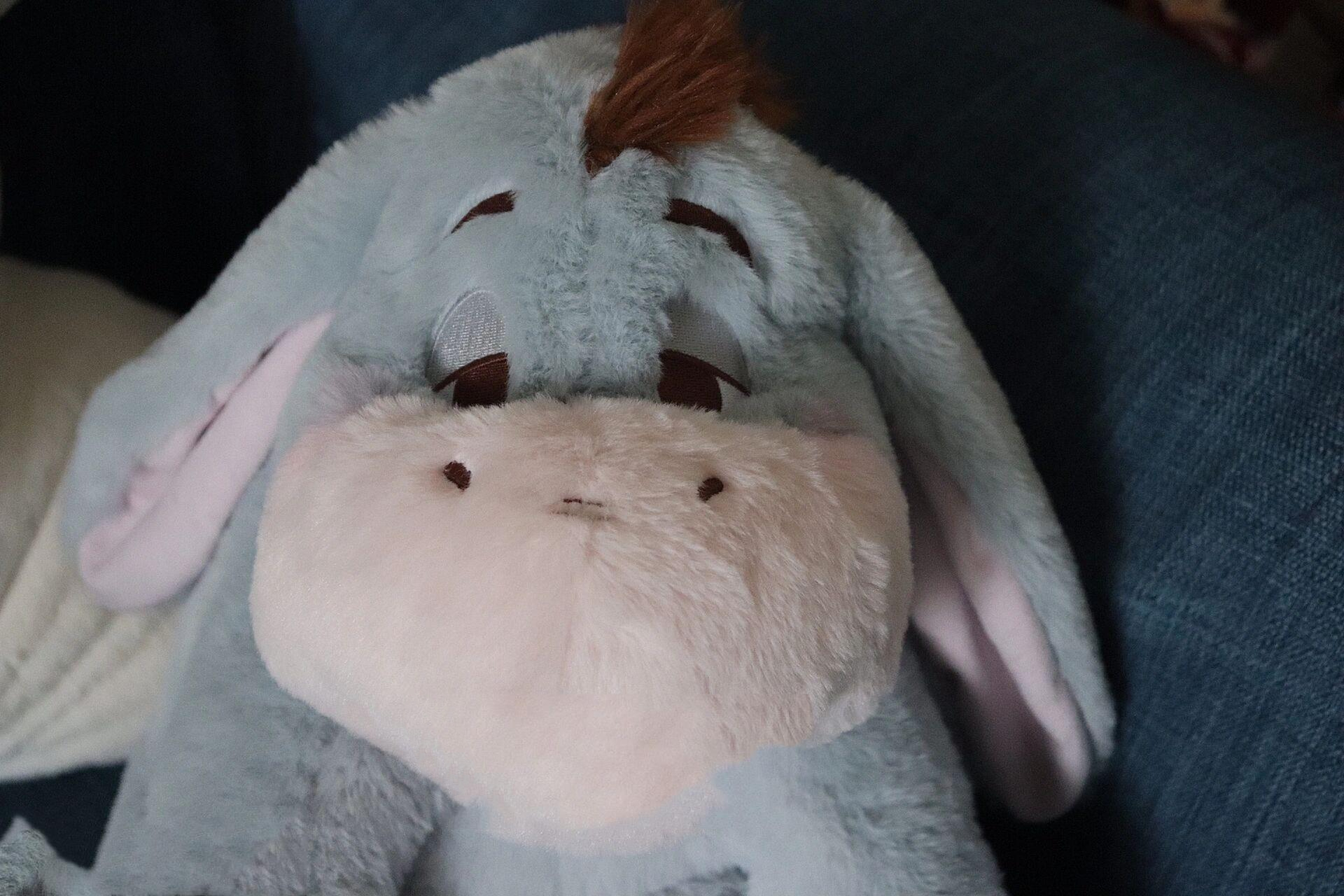 迪士尼睡不醒屹耳驴驴 屹耳,英文名eeyore, 悲观,过于冷静,自卑,消沉.