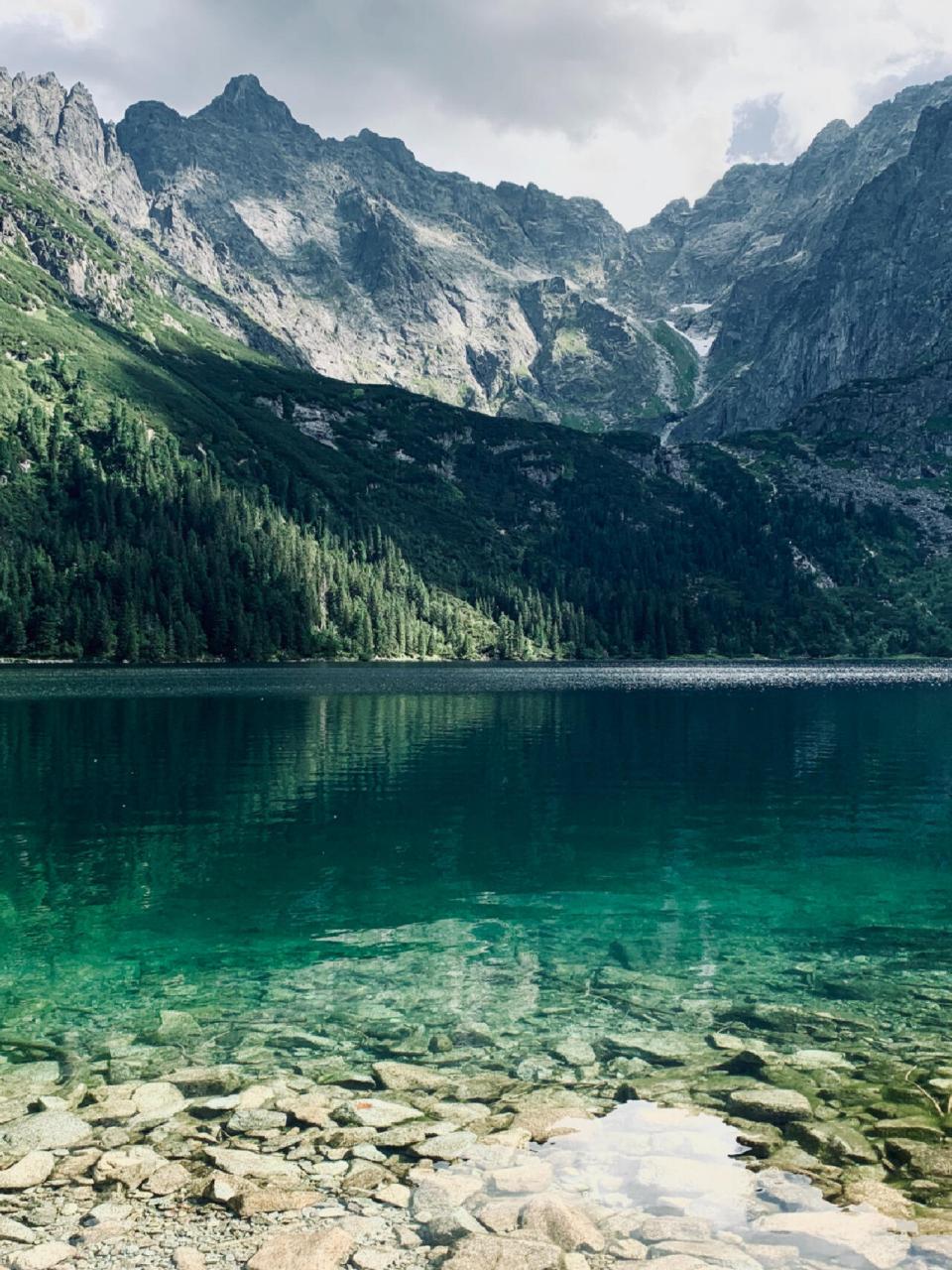 主页还有建筑,人物,动物,花卉,美食,饮品,蔬菜和水果类的素材,需要的