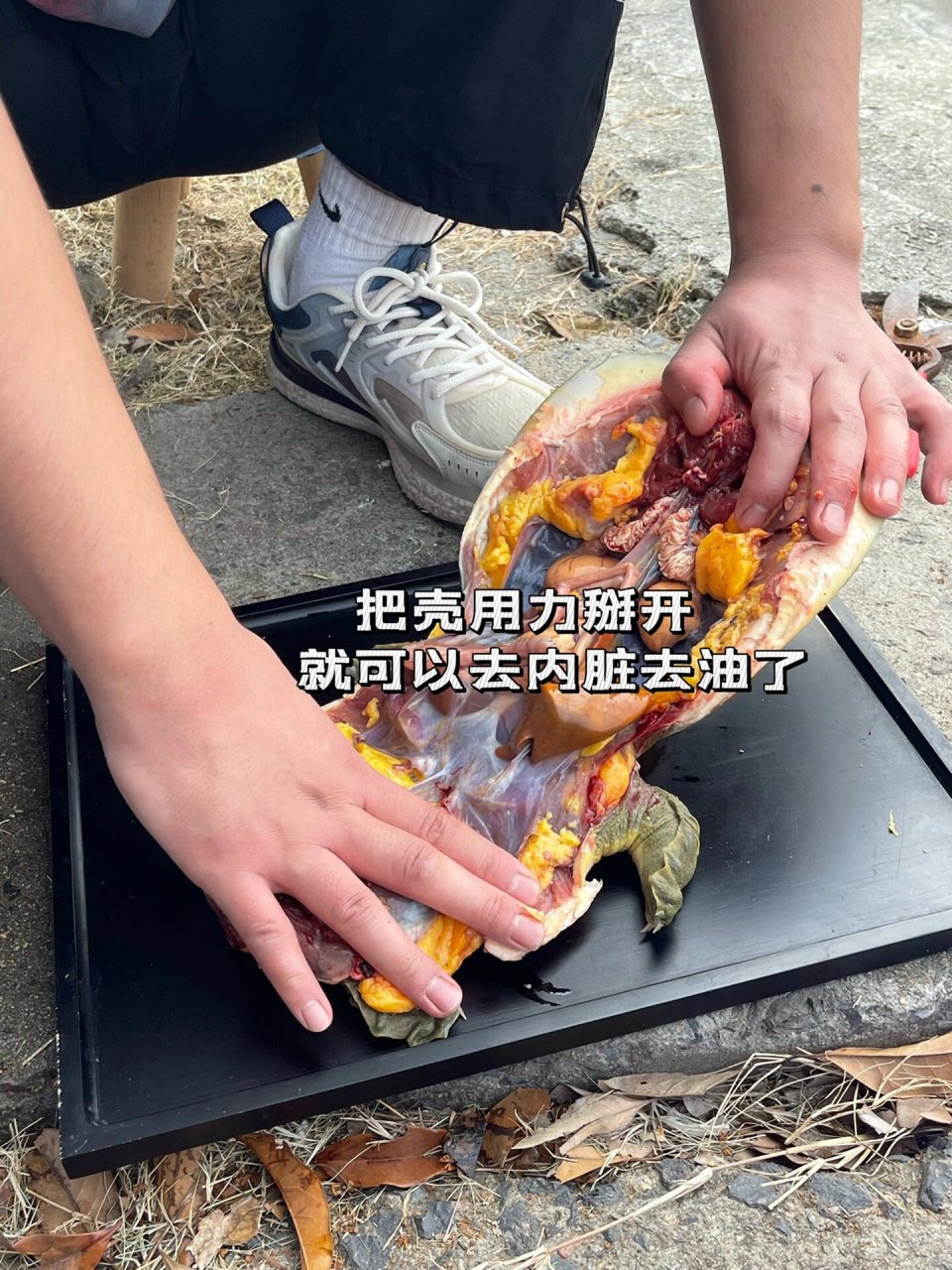 超详细的甲鱼宰杀教程07 16615宰杀放血 在脖子部位划一刀,将