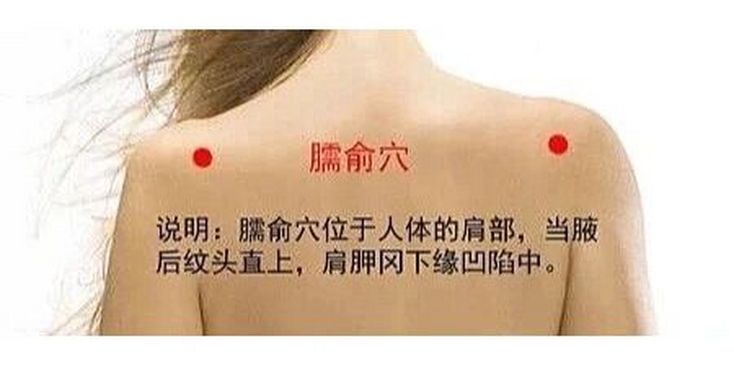 属手太阳小肠经.臑俞是手太阳小肠经,阳维脉,阳蹻脉的交会穴.