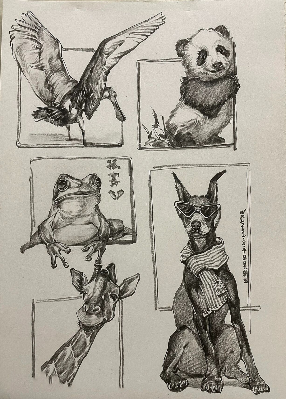 速写动物 今天是七夕,带着同学们画画动物吧