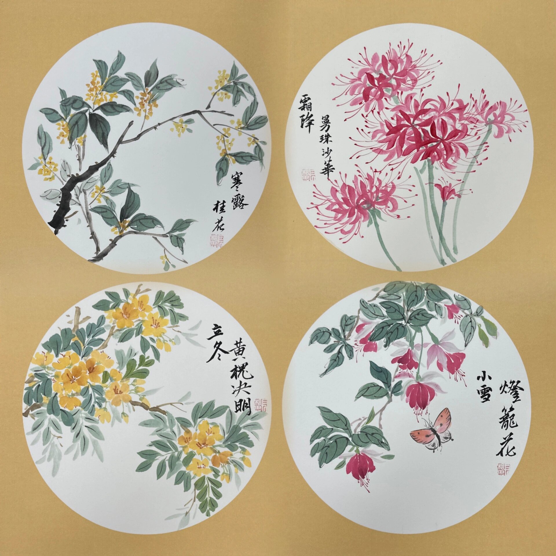 国画二十四节气花——课堂教学范画