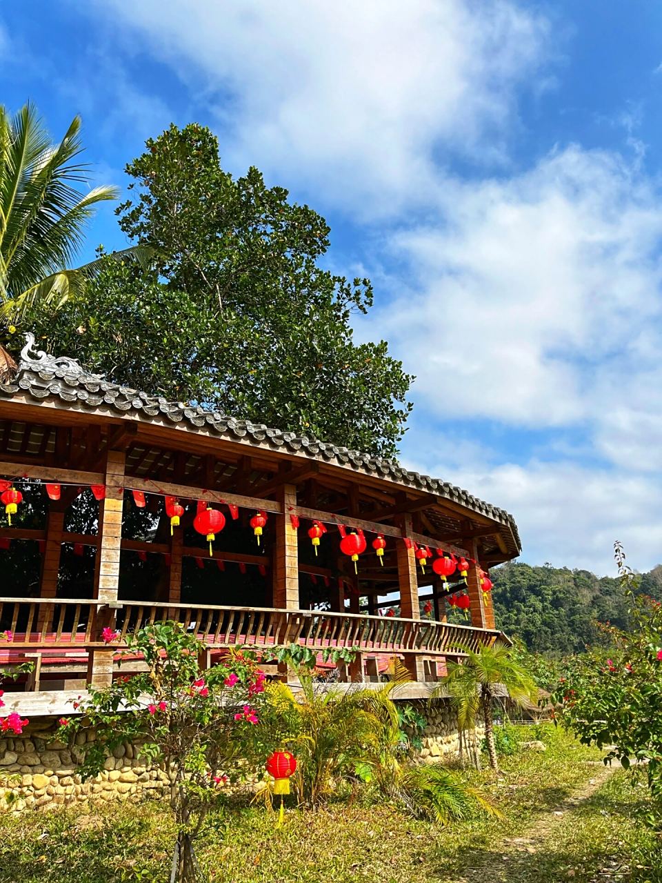 海南五指山美丽乡村游90毛纳村真是美7715 90海南zui大的森林