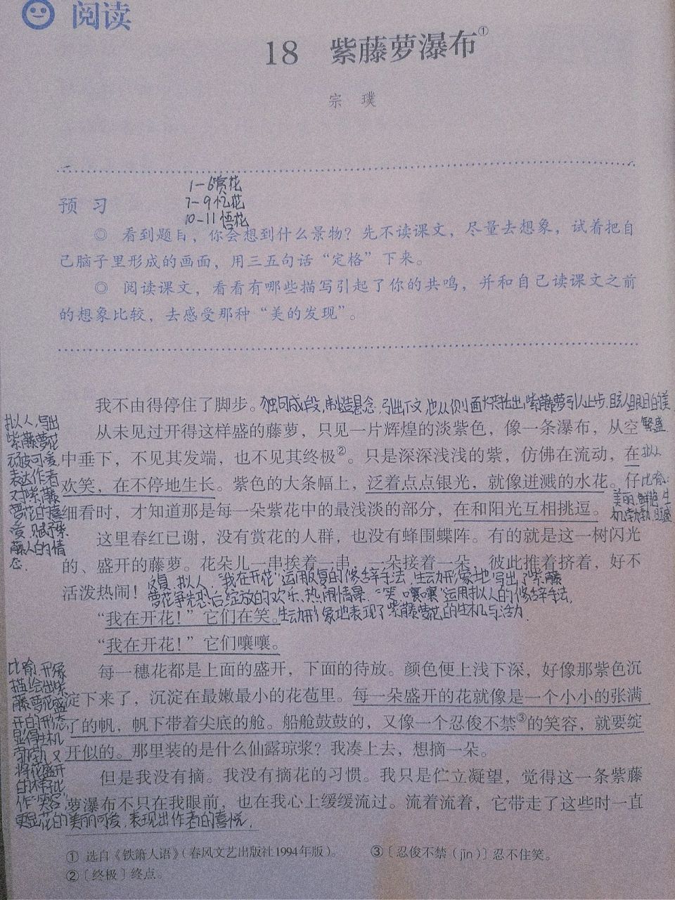 七年级下册第十八课 紫藤萝瀑布 笔记来啦