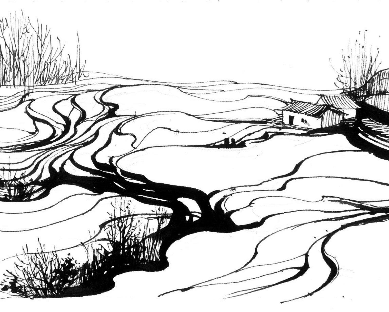 钢笔速写#0202#宅家画画#0202#速写# 分享一组梯田的钢笔