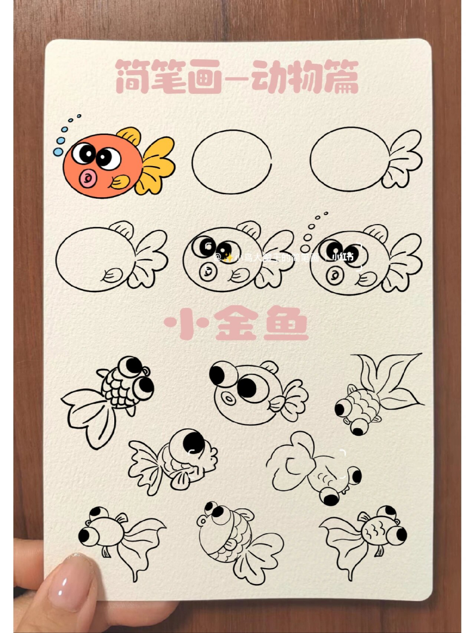 儿童简笔画小金鱼,有手就会,小学生必备 小金鱼,小金鱼各种各样的颜色