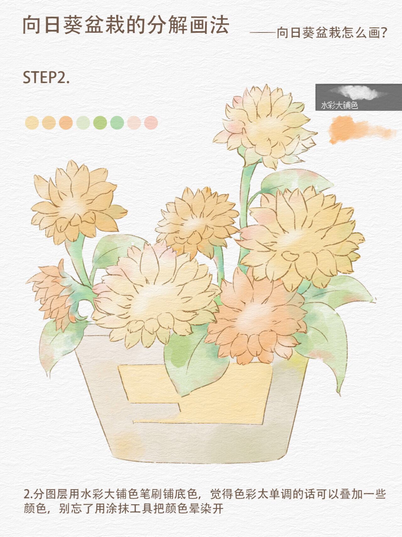 学插画|向日葵盆栽的分解画法🌻 画画的第27天-向日葵盆栽怎么画呢?
