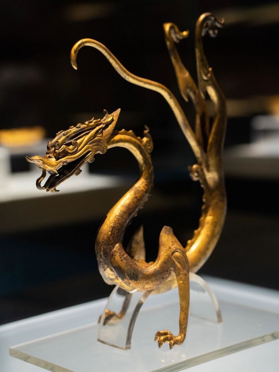 西安·陕博|有见过比这更栩栩如生的龙么 这是关于陕西历史博物馆馆藏