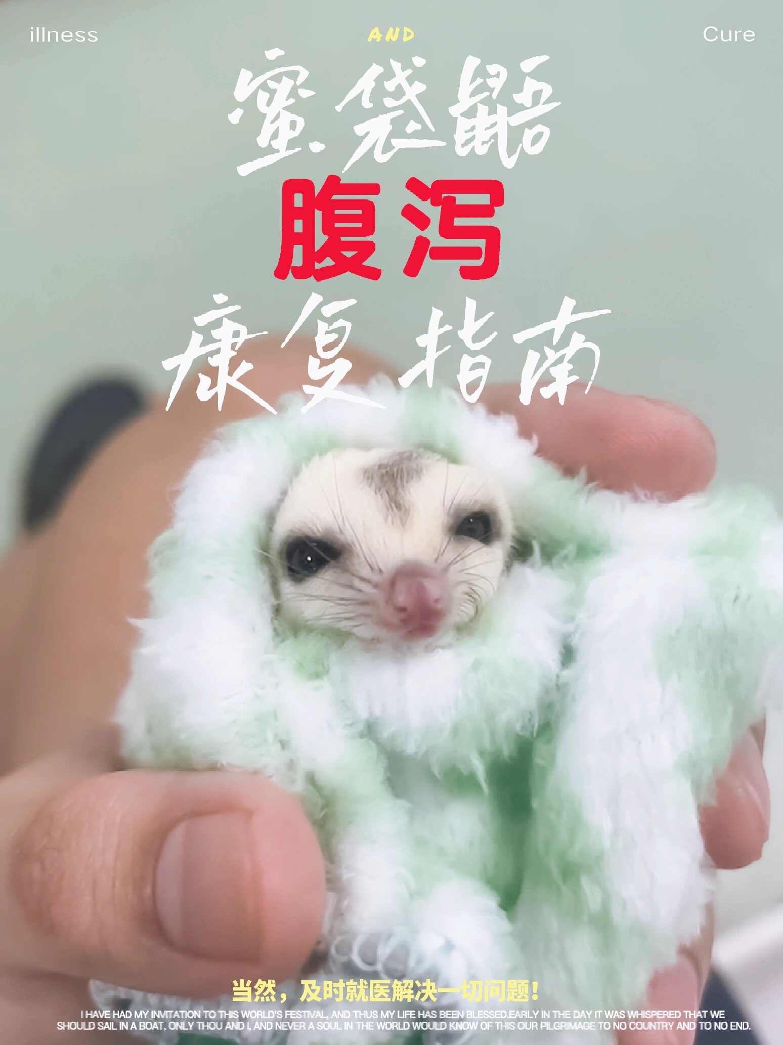 98 蜜袋鼯腹泻完全康复指南丨sop 04