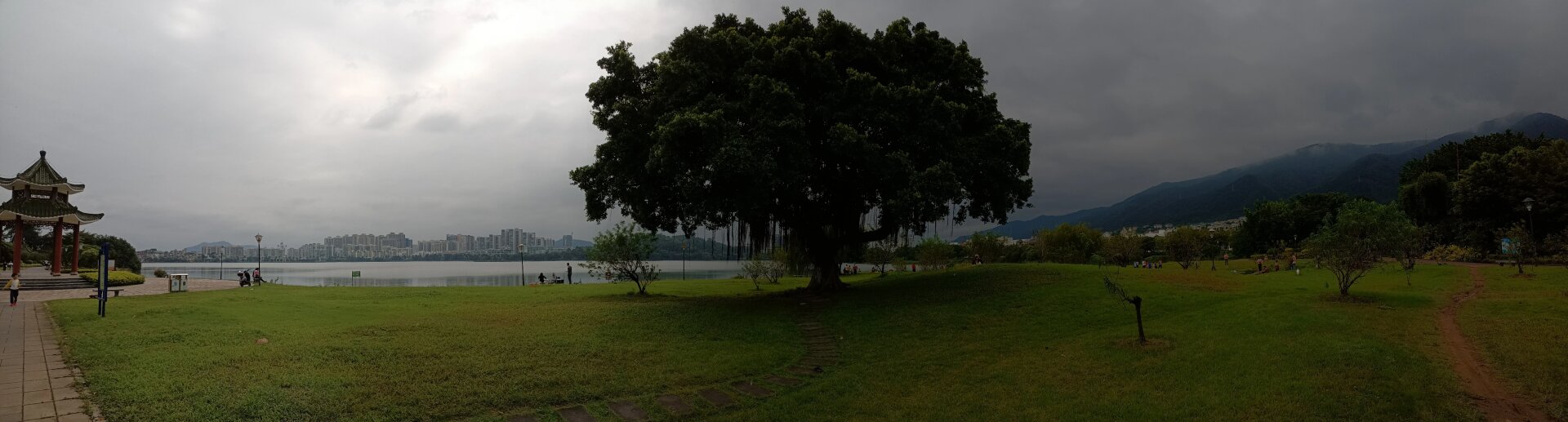 肇庆波海公园 阴天骑着美团单车,沿波海公园绿道骑行,景美心情也美