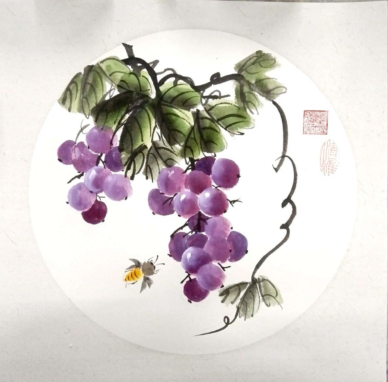 国画|葡萄与小蜜蜂步骤图来啦~ 1.