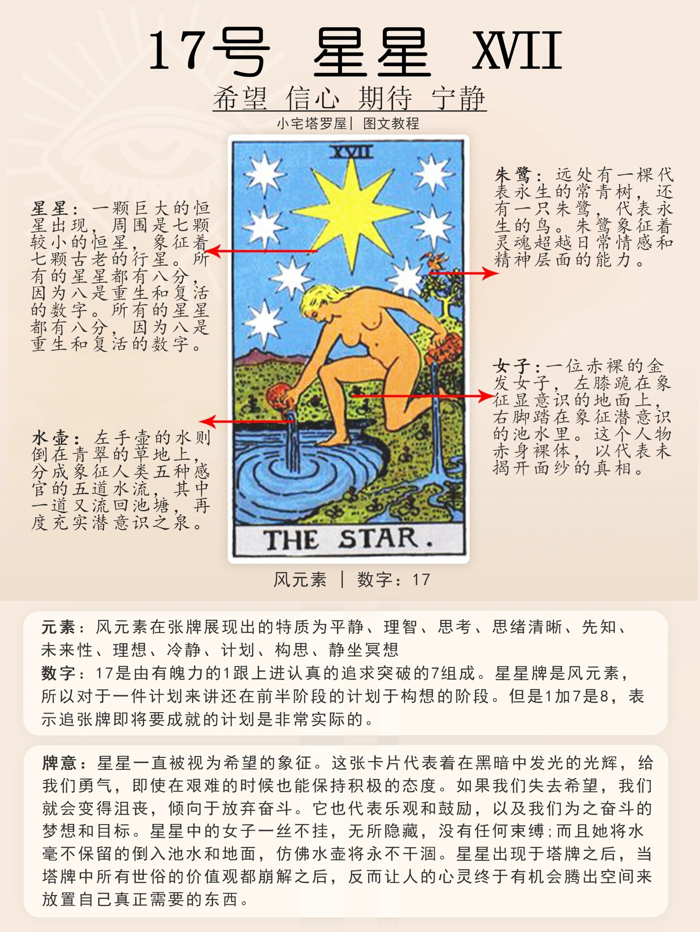 星星正位|塔罗牌意分析