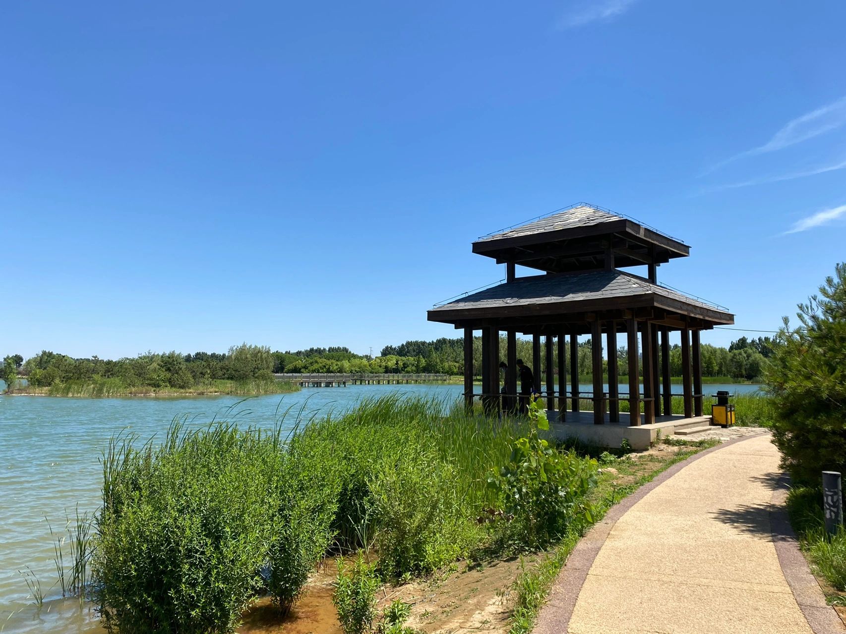 龙泉湖湿地公园    阳光明媚,天蓝水碧 暂且,放下手中繁芜,忘记俗世