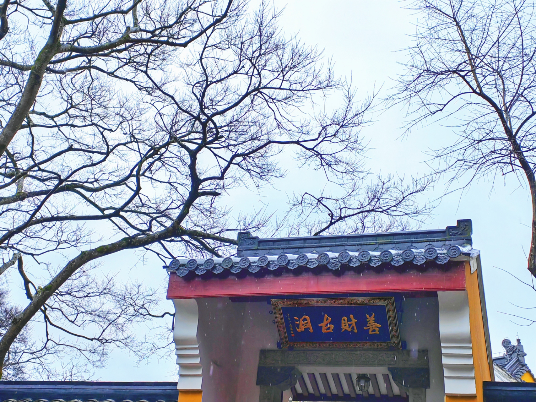 2023 2971524普陀山 善财洞攻略 今年的善财洞人是无敌多了,我们