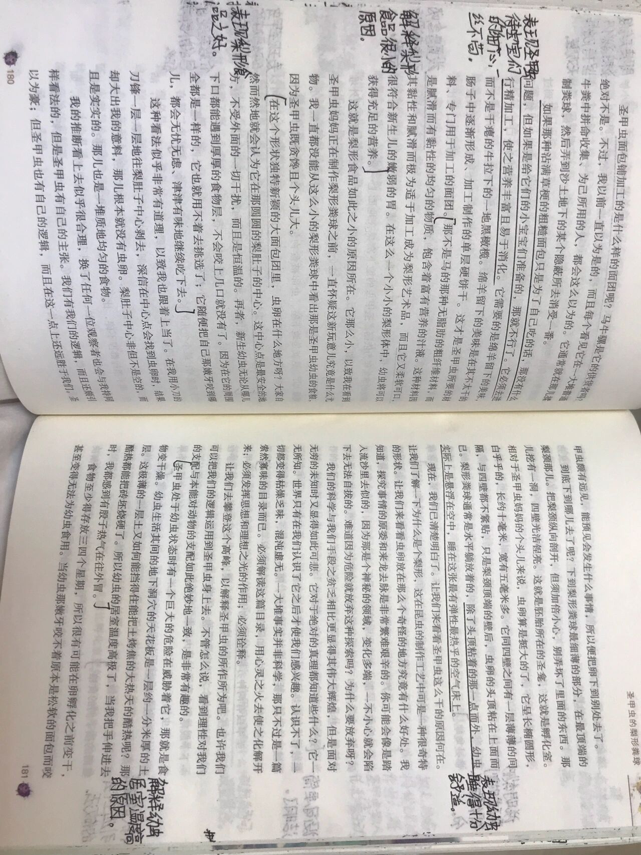 圣甲虫的梨形粪球批注图片