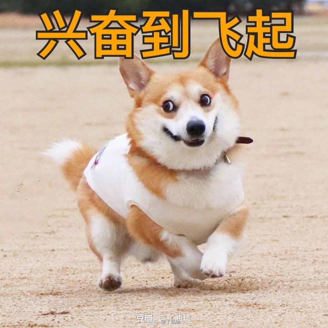谷歌趋势查产品的季节性变化,边跑边笑的表情包扭头就跑的图片搞笑