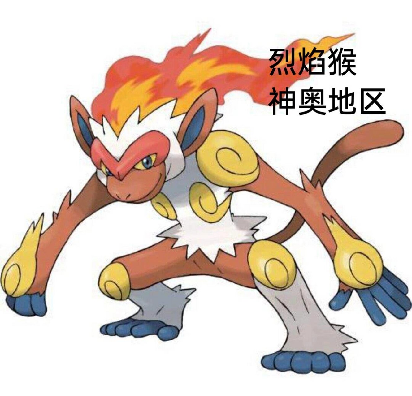 小智8个地区最强宝可梦 这次并没有算上收服的神兽和皮卡丘,有问题的