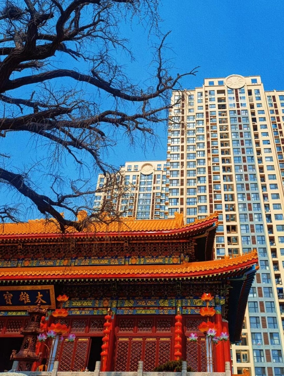 一直以来,青岛观音寺都是人们祈福,求平安的圣地.